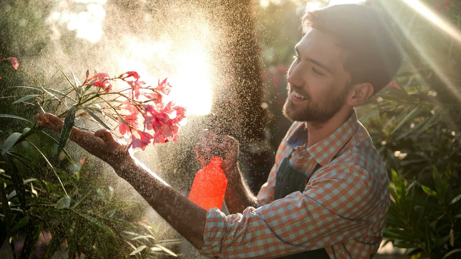 زراعة الزهور والورود والاشجار