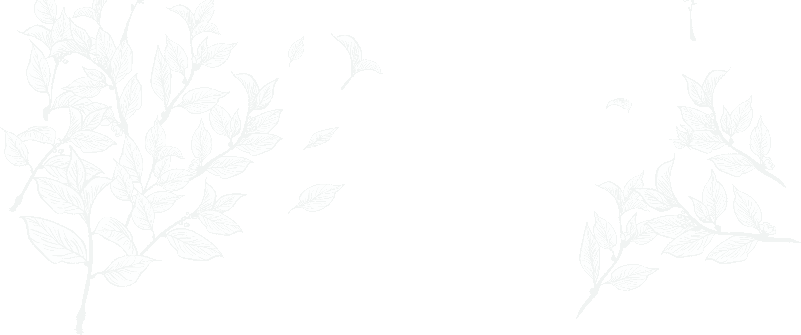 خلفية تنسيق حدائق