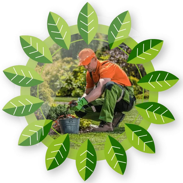 افضل شركة تنسيق حدائق بالرياض