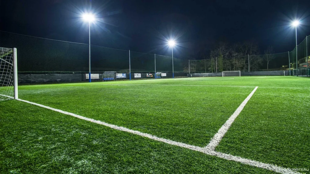 ملاعب عشب طبيعية