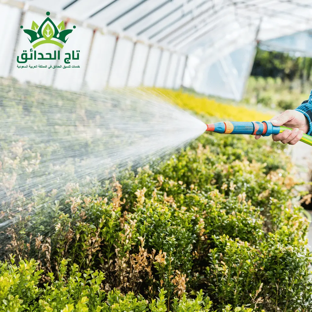 افضل شركة تنسيق حدائق بالرياض